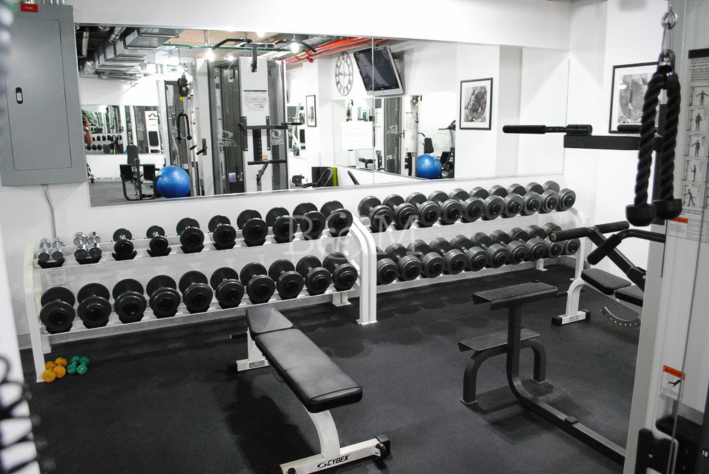 234 Skillman Avenue 3H East Williamsburg Brooklyn NY 11211