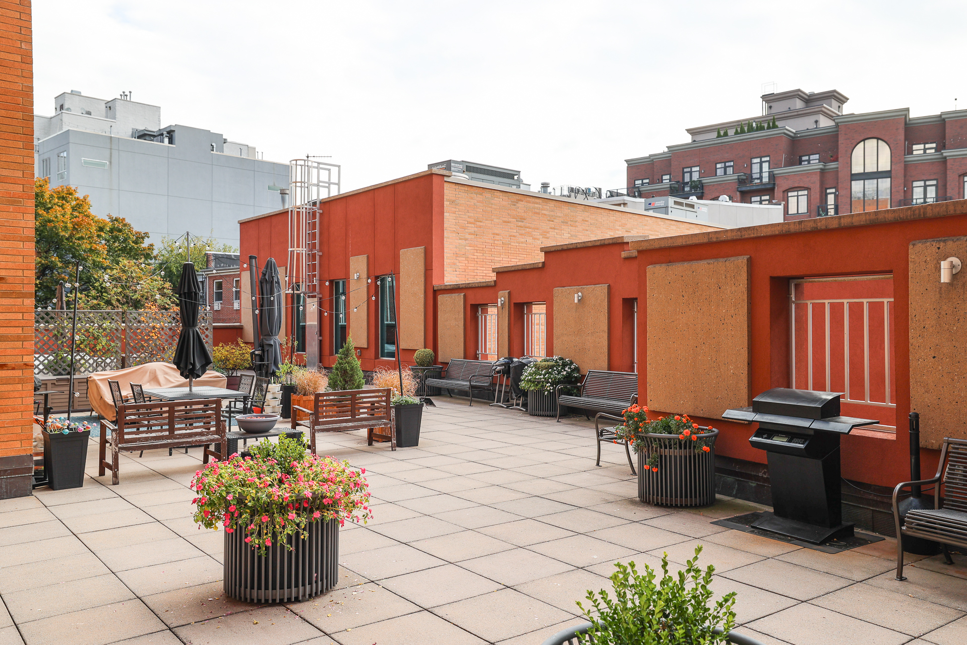 234 Skillman Avenue East Williamsburg Brooklyn NY 11211