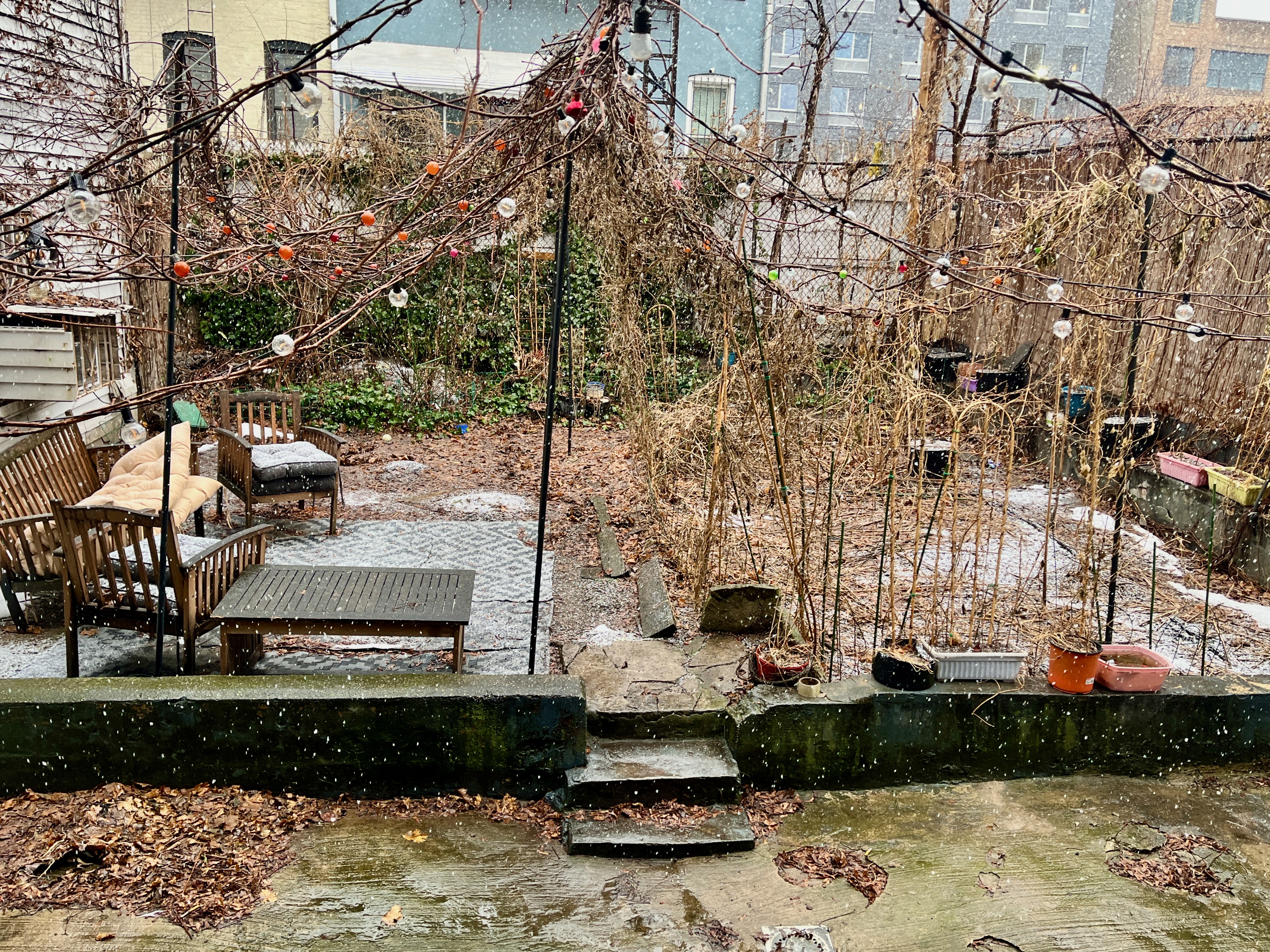 313 Stockholm Street 1 Bushwick Brooklyn NY 11237