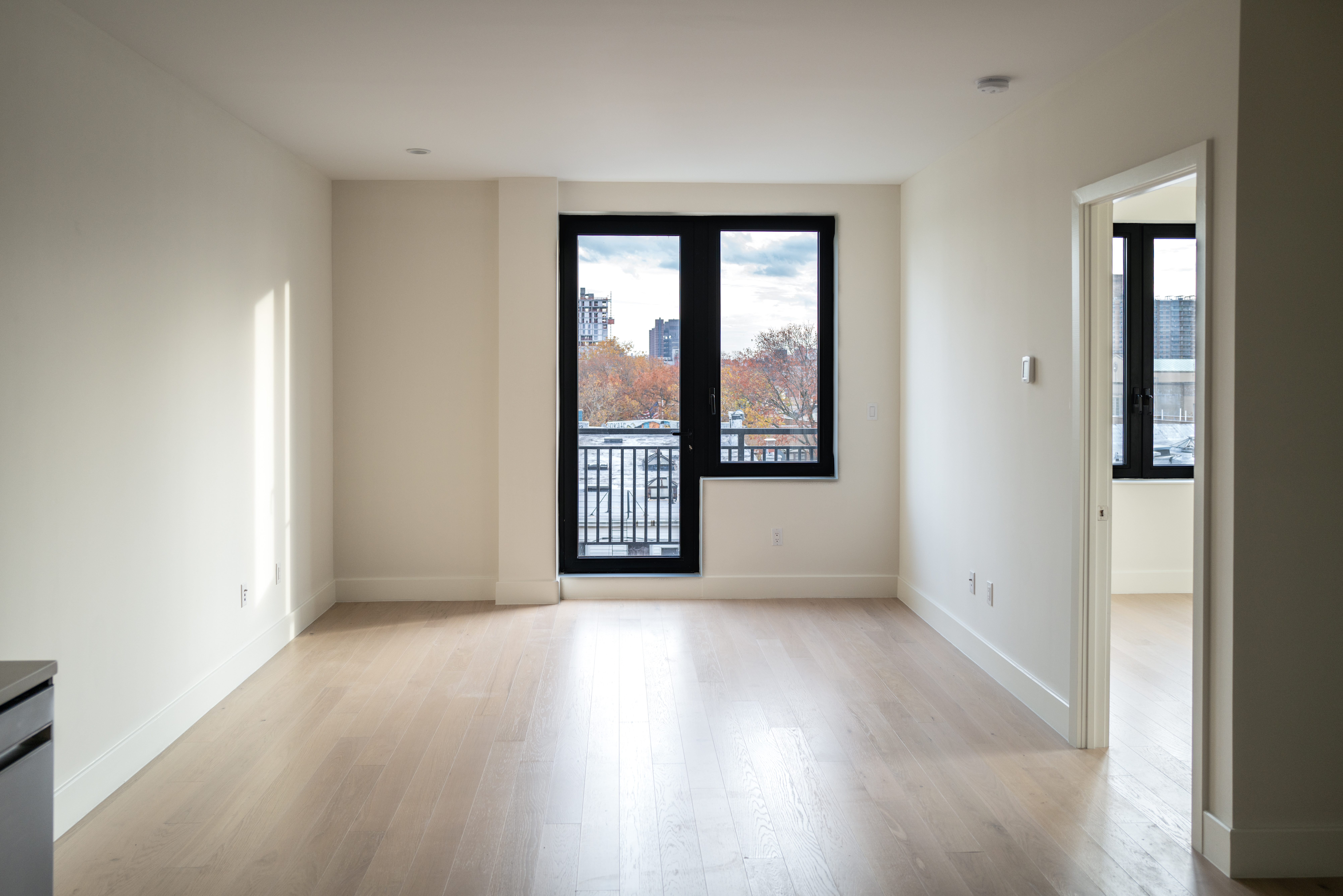 738 Grand Street 6B Williamsburg Brooklyn NY 11211