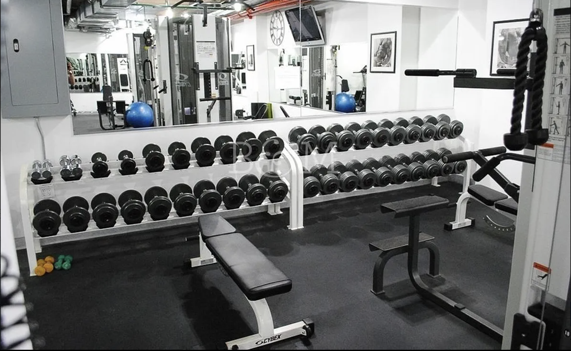 234 Skillman Avenue East Williamsburg Brooklyn NY 11211